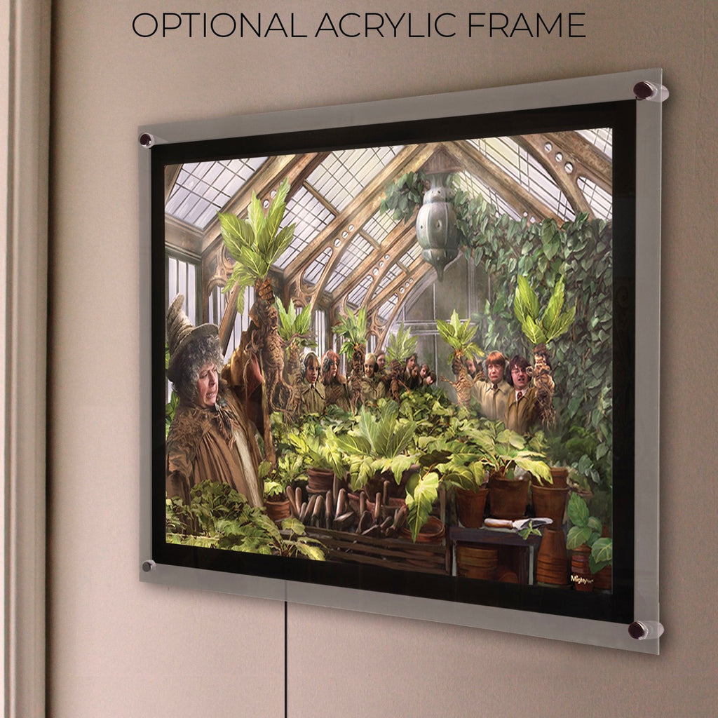 Harry Potter TKS (Herbology Class) MightyPrint™ Wall Art MP24171032