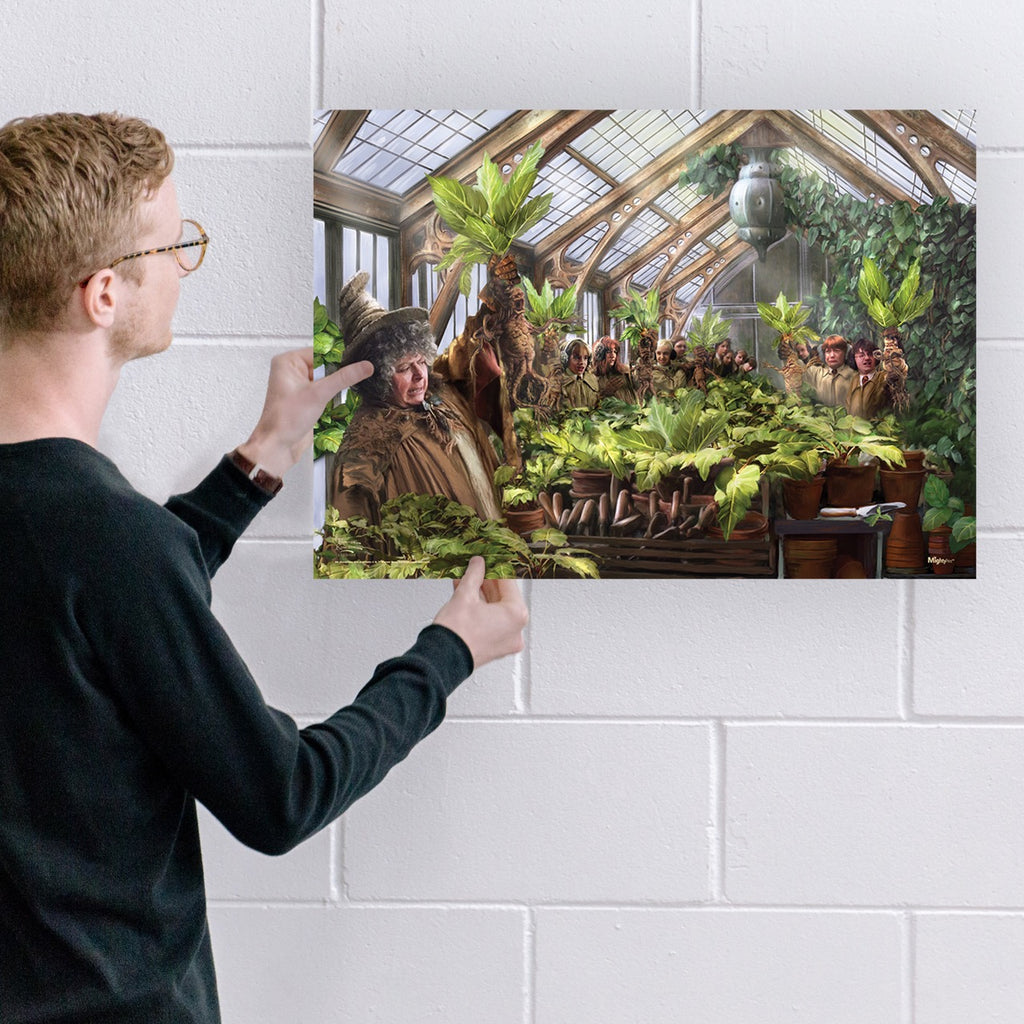 Harry Potter TKS (Herbology Class) MightyPrint™ Wall Art MP24171032