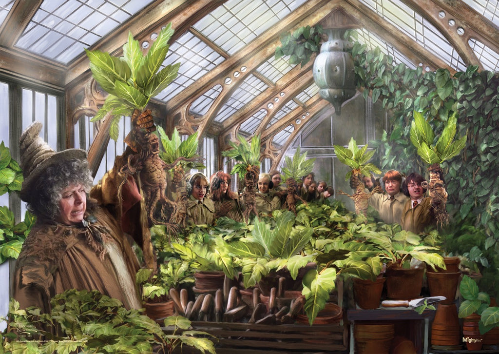 Harry Potter TKS (Herbology Class) MightyPrint™ Wall Art MP24171032