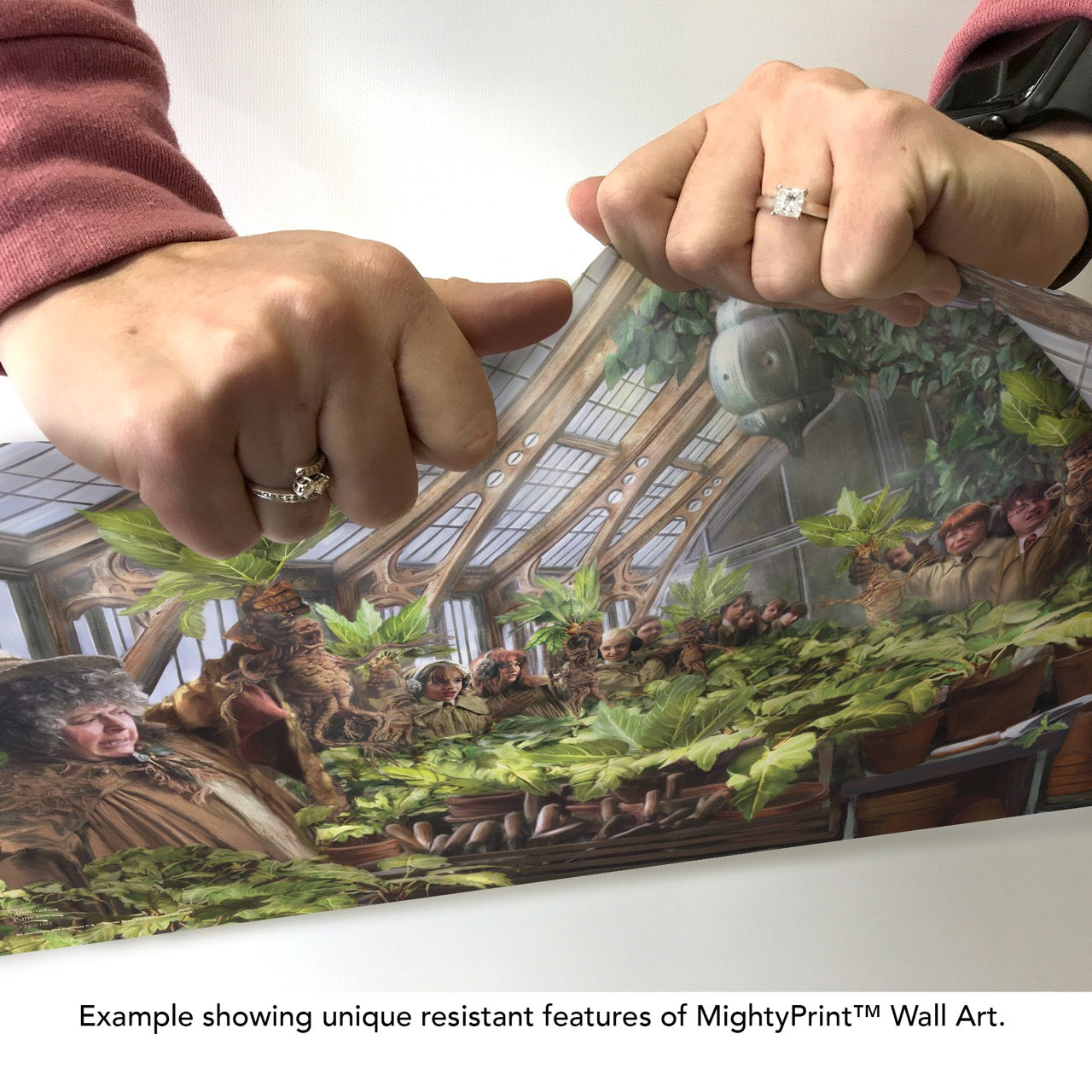 Harry Potter Thomas Kinkade Studios (Herbology Class) MightyPrint™ Wall Art MP24171032