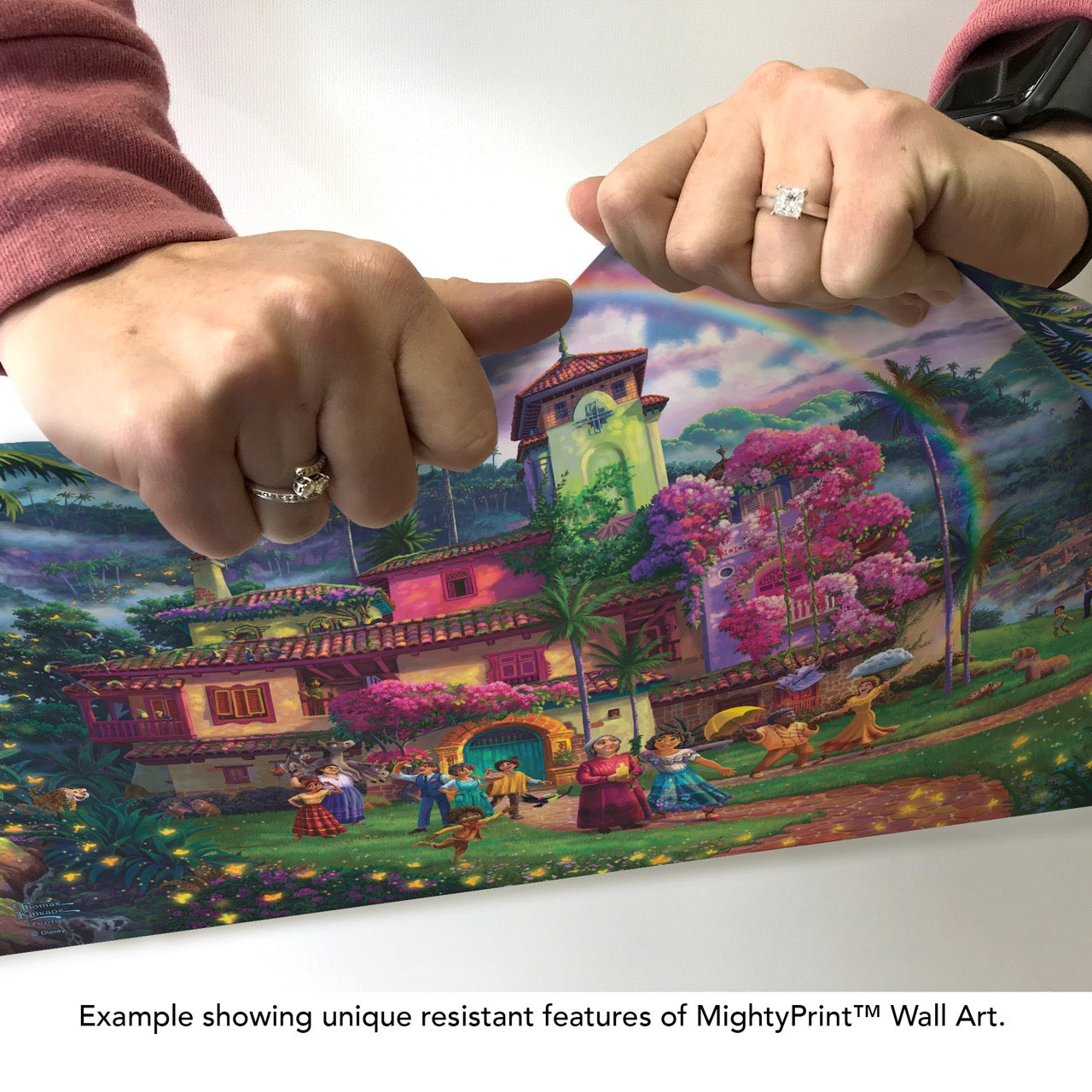 Disney (Encanto – The Miracle of Family) MightyPrint™ Wall Art MP24171047