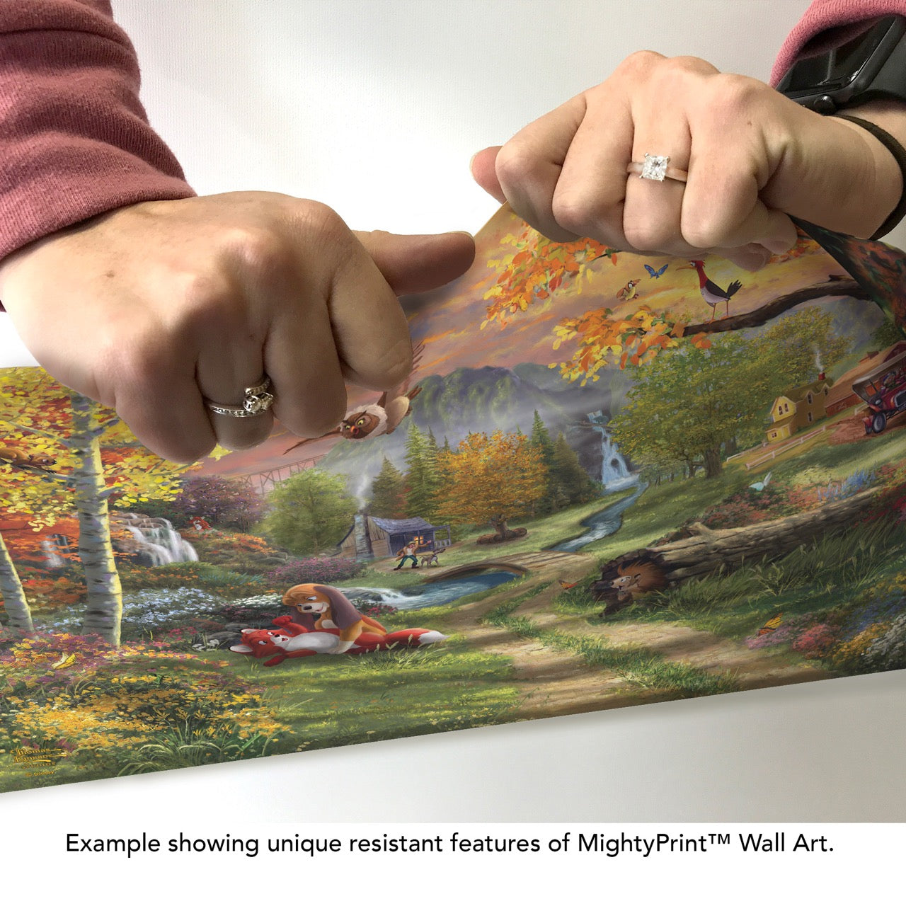 Disney (Fox and the Hound – Forever Friends) MightyPrint™ Wall Art MP24171048