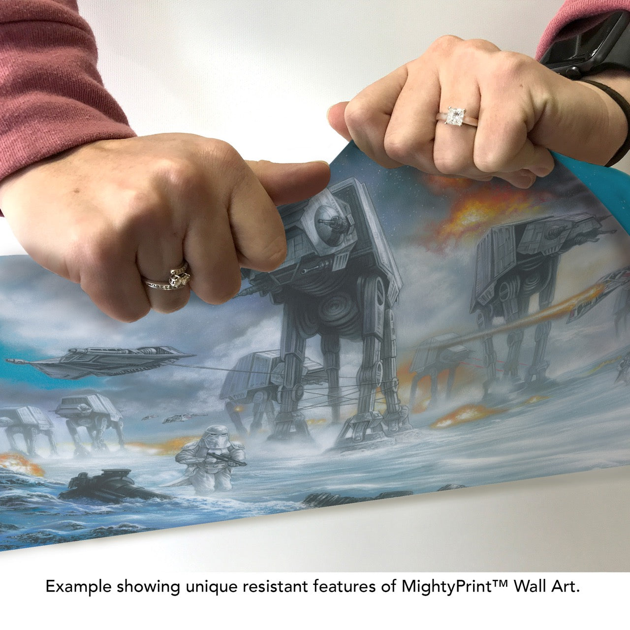 Star Wars (Last Holdout) MightyPrint™ Wall Art MP24171095