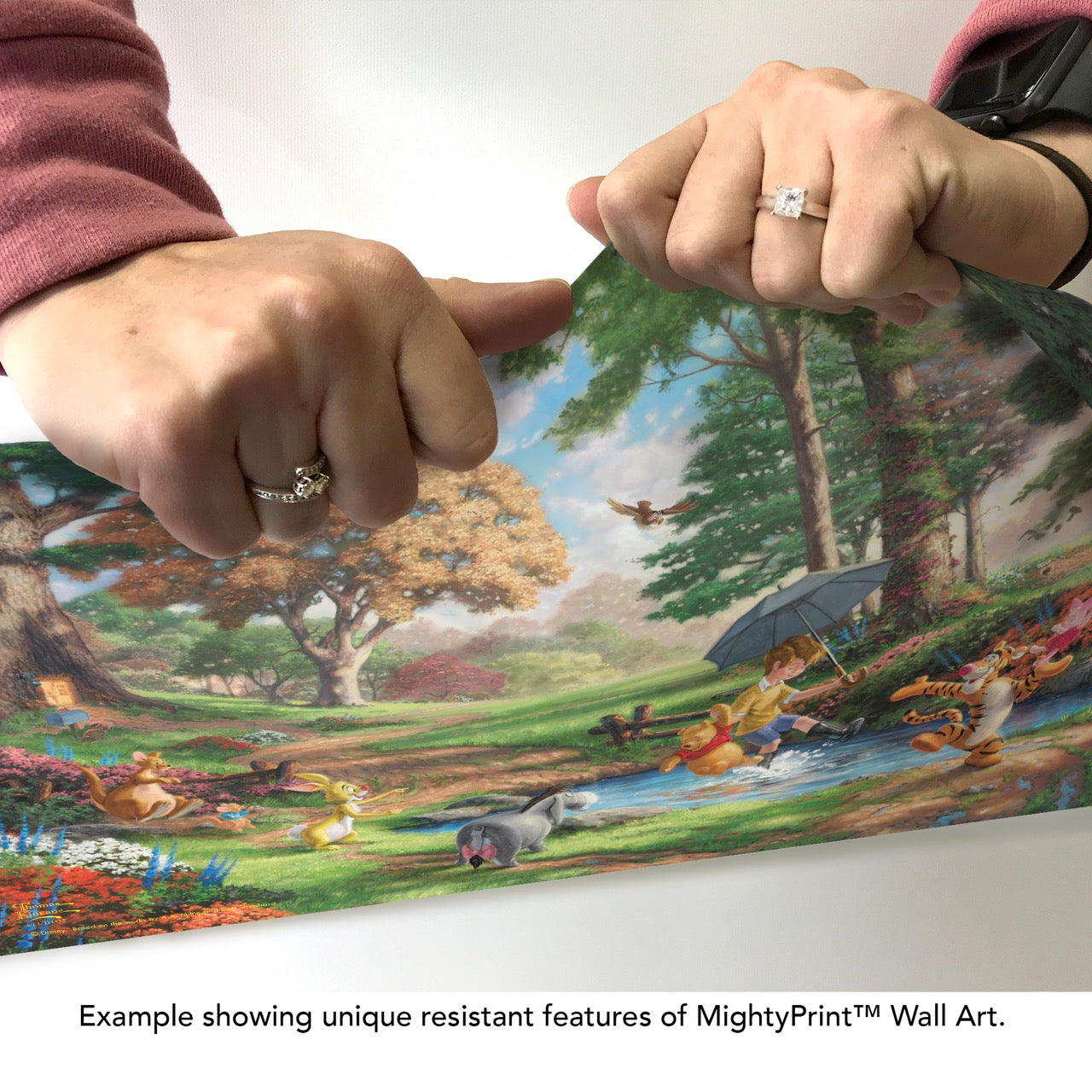 Disney (Winnie the Pooh) MightyPrint™ Wall Art MP24171099