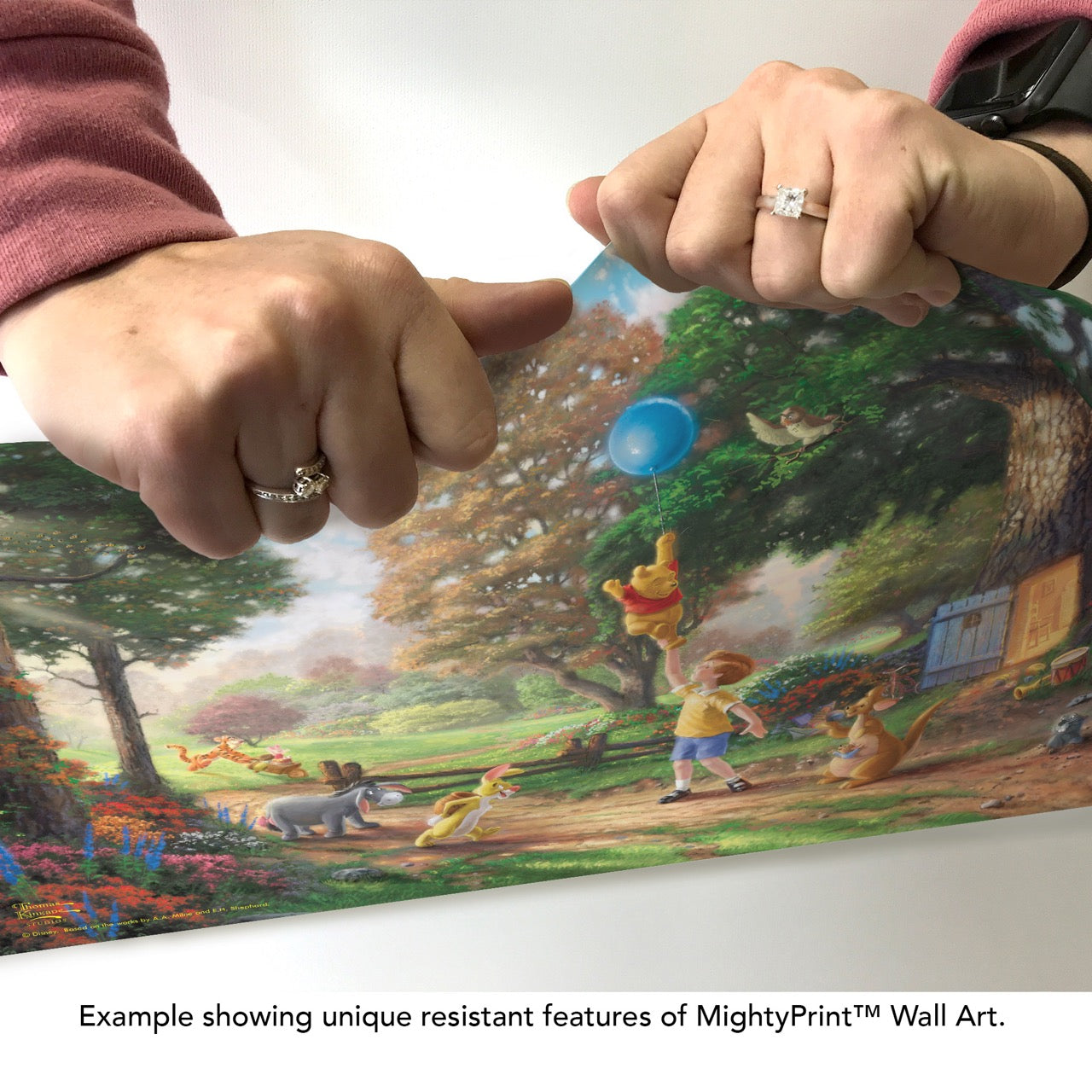 Disney (Pooh’s Balloon Adventure) MightyPrint™ Wall Art MP24171100