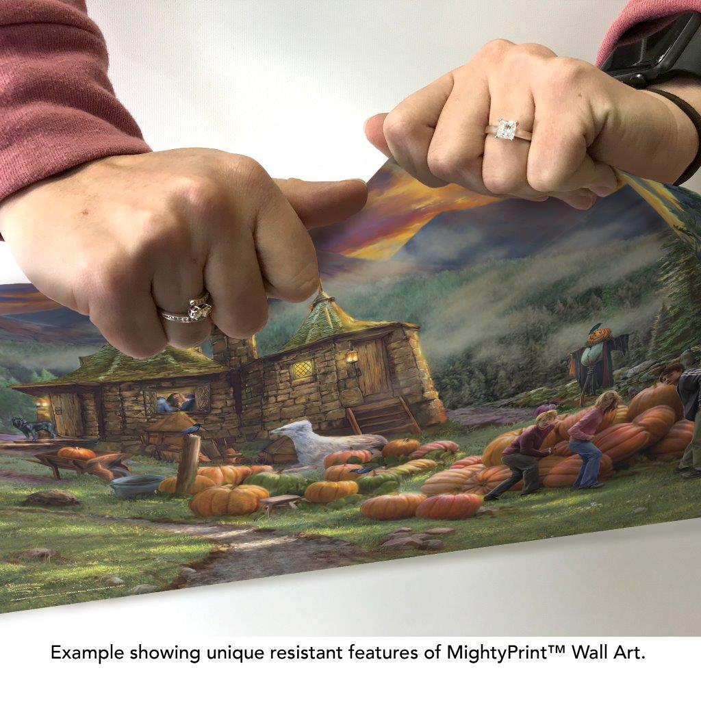 Harry Potter Thomas Kinkade Studios (Hagrid's Hut) MightyPrint™ Wall Art MP24171106