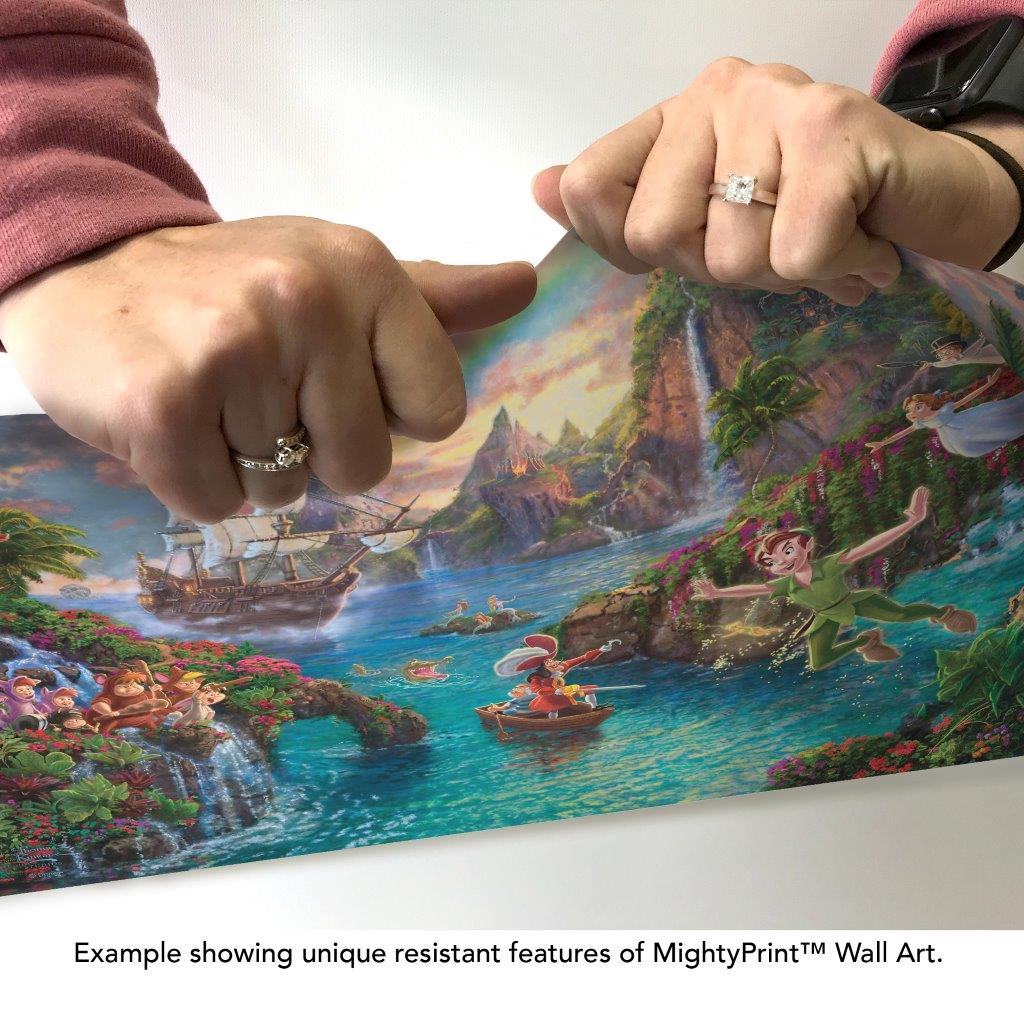 Disney (Peter Pan's Never Land) MightyPrint™ Wall Art MP24171116