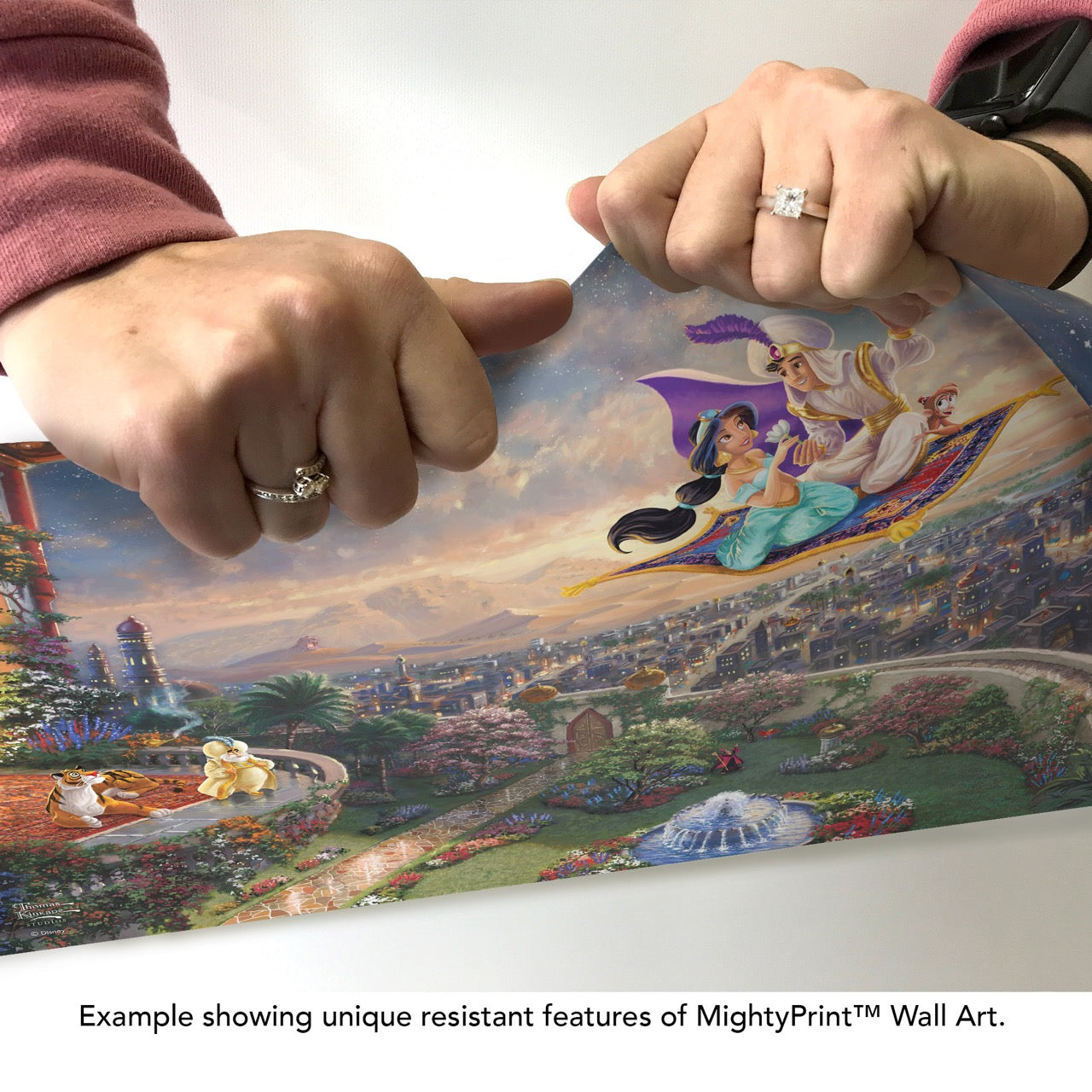 Disney (Jasmine & Aladdin Carpet Ride) MightyPrint™ Wall Art MP24171119