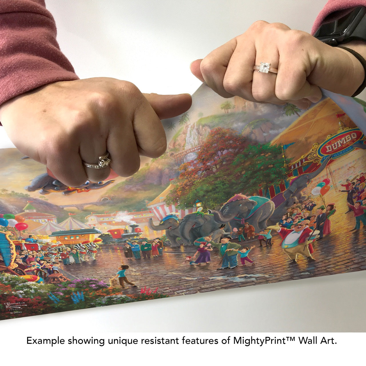 Disney (Up and Away with Dumbo) MightyPrint™ Wall Art MP24171122