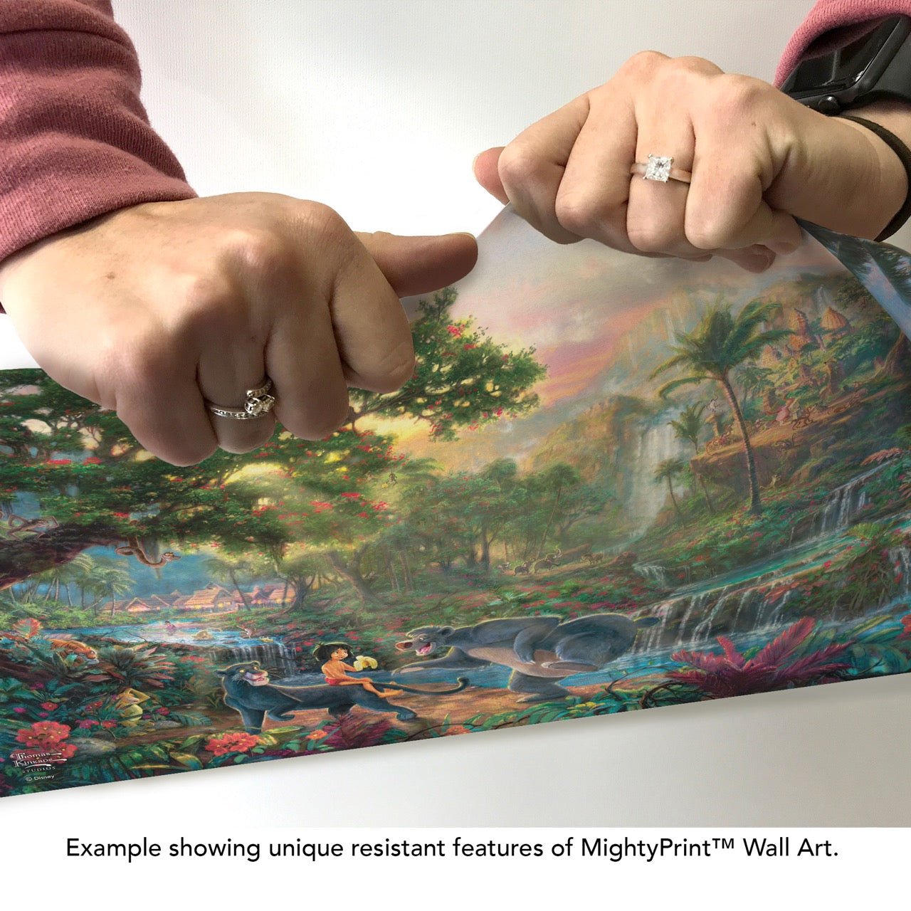 Disney (The Jungle Book Adventure) MightyPrint™ Wall Art MP24171124