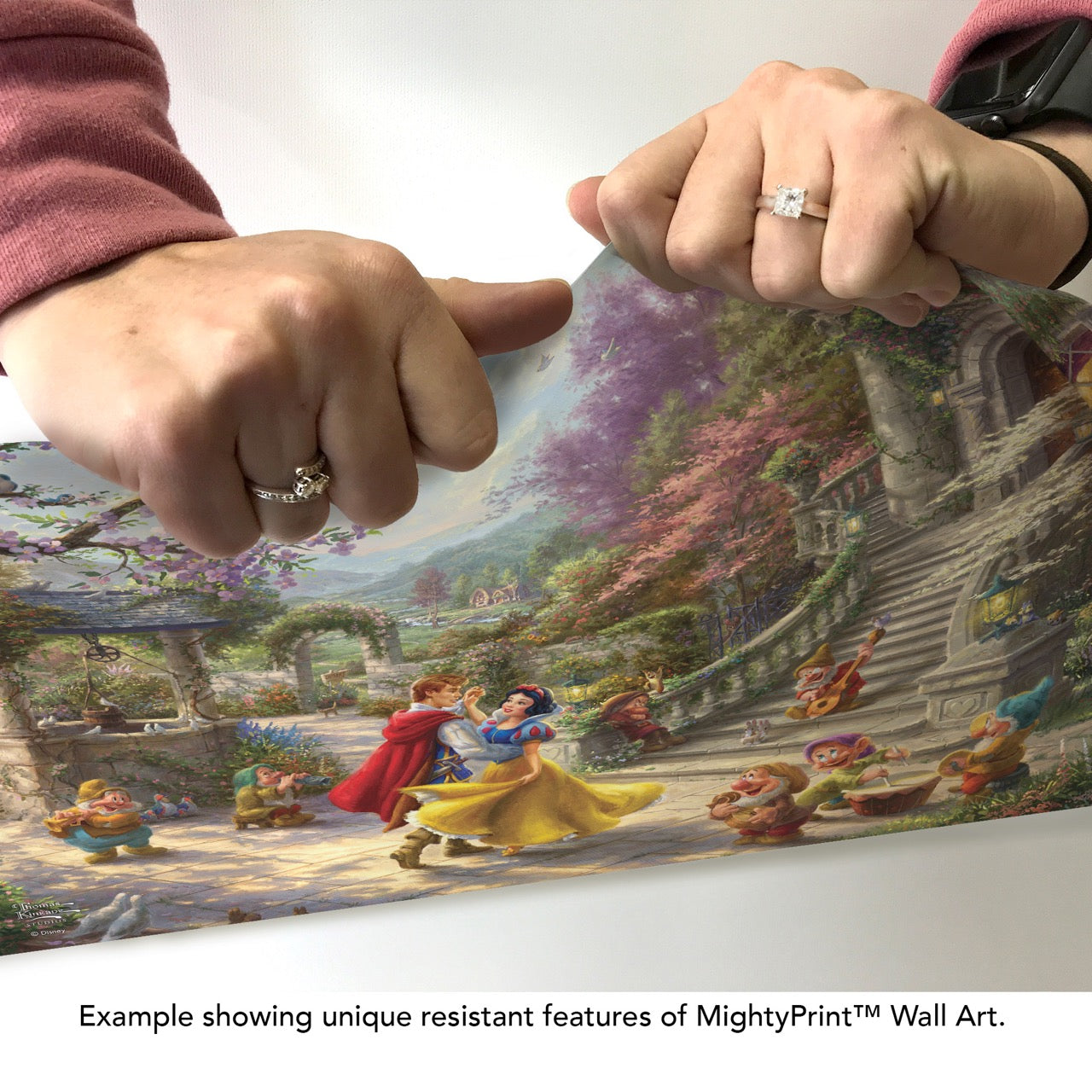 Disney (Snow White Dancing in the Sunlight) MightyPrint™ Wall Art MP24171129