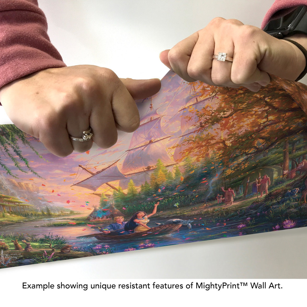 Disney (Pocahontas Colors of the Wind) MightyPrint™ Wall Art MP24171130