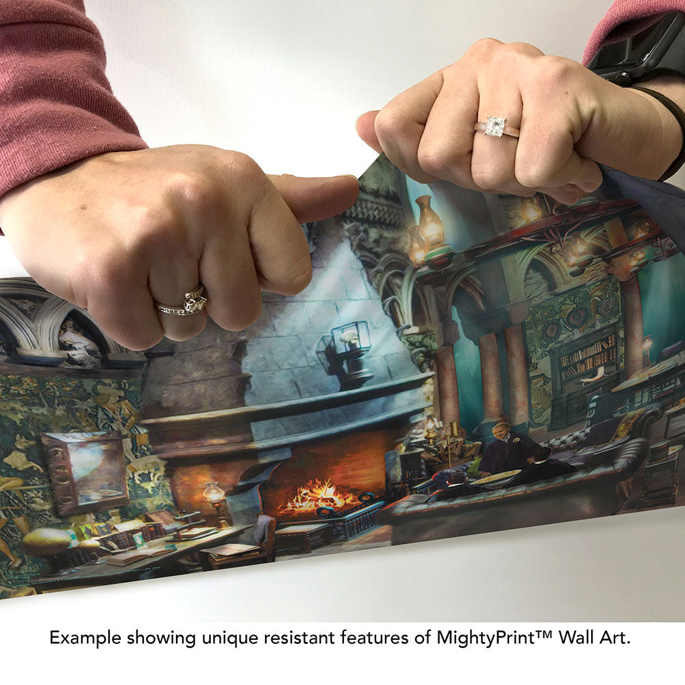 Harry Potter Thomas Kinkade Studios (Slytherin Room) 24 x 17 MightyPrint™ Wall Art MP24171133
