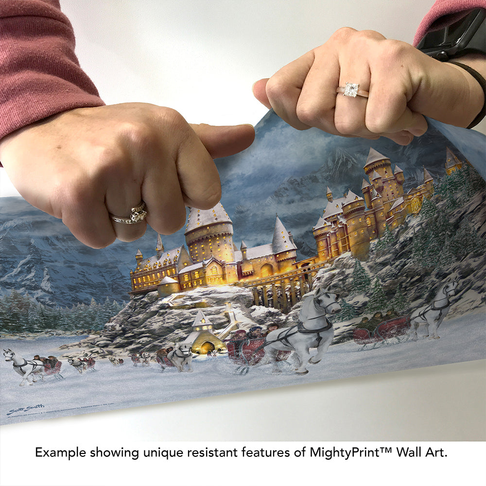 Harry Potter Thomas Kinkade Studios (Hogwarts Castle in Winter by Scott Smith) 24 x 17 MightyPrint™ Wall Art MP24171167