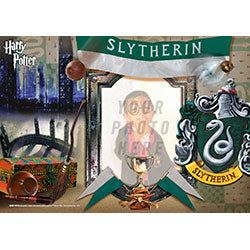 Harry Potter (Slytherin - Add Your Photo!) 12