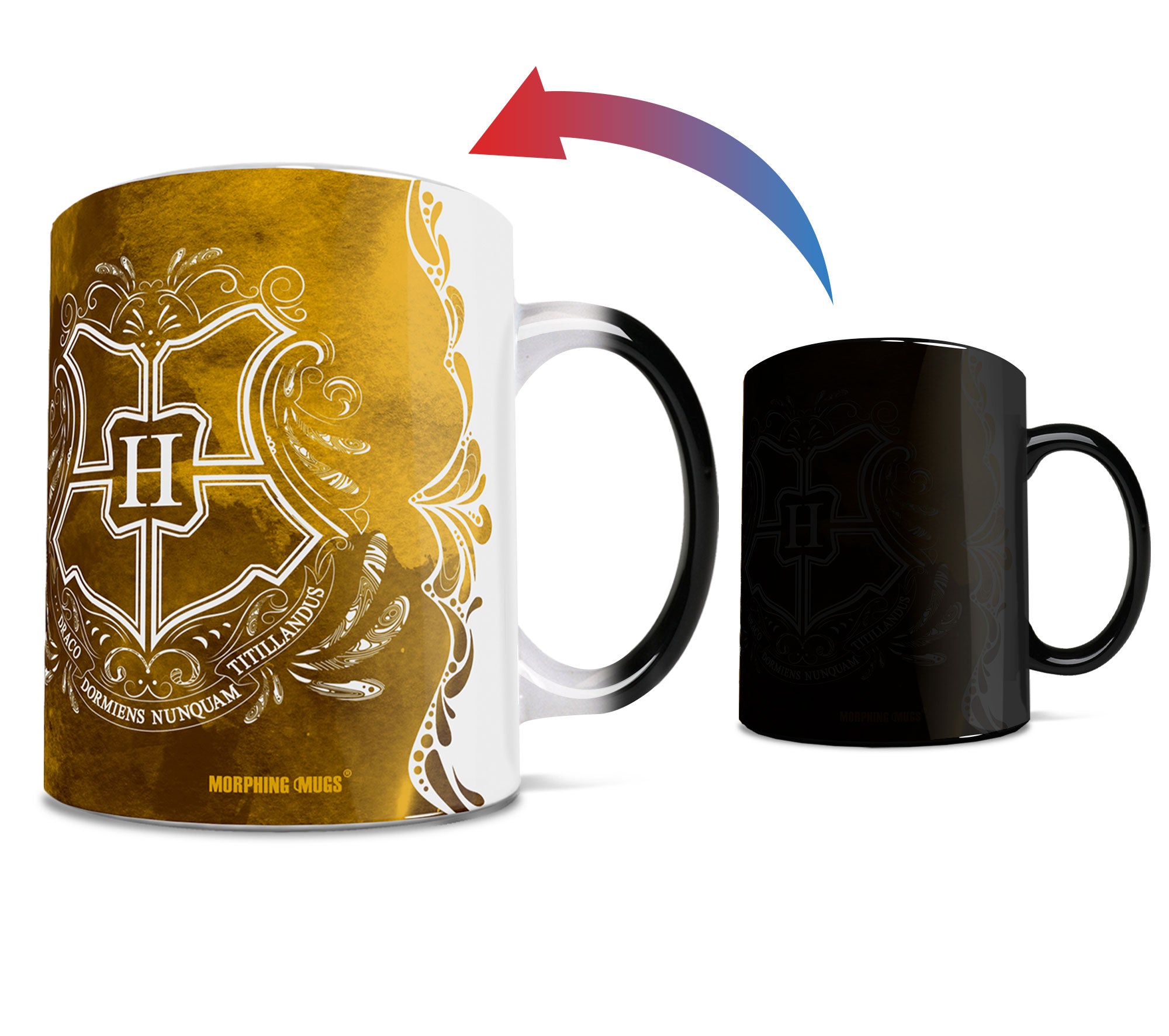 Harry Potter (Hufflepuff - Aguamenti ) Morphing Mugs® Heat-Sensitive Mug MMUG994