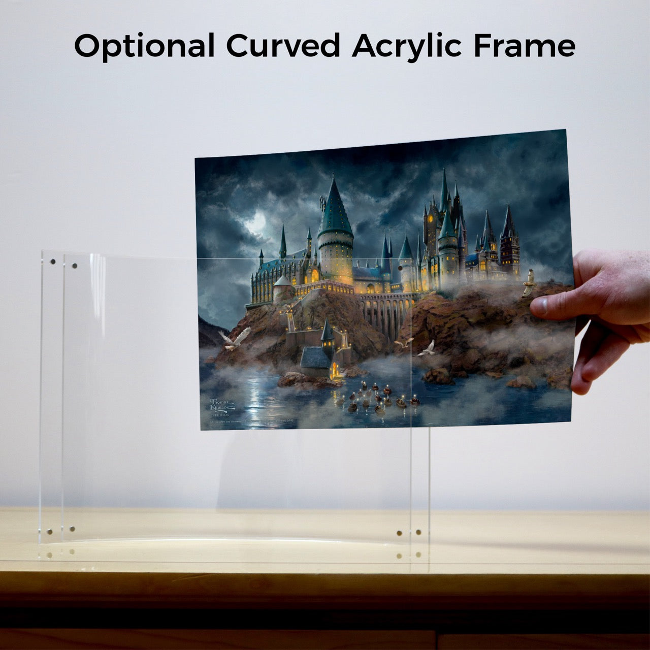 Harry Potter™ Thomas Kinkade Studios (Hogwarts Castle) Lightpix™ Everlasting Photo Print P1410H048