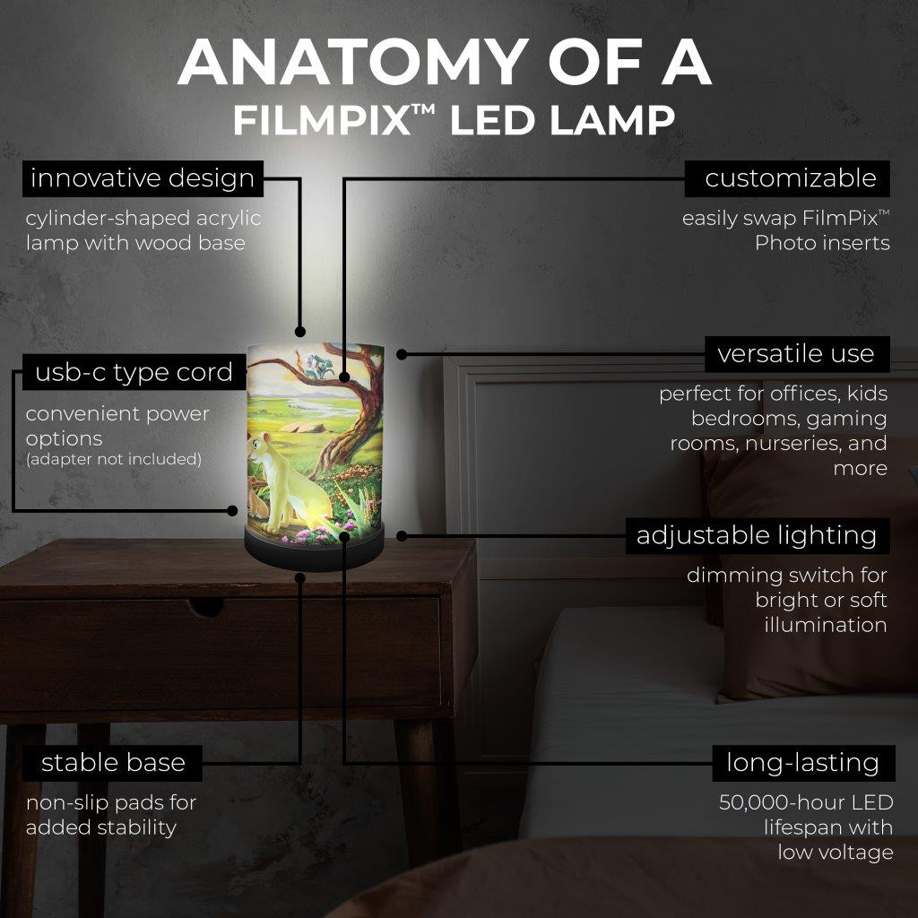 FilmPix™ Light Display + Disney (Remember Who You Are) FilmPix™ Photo Insert Bundle