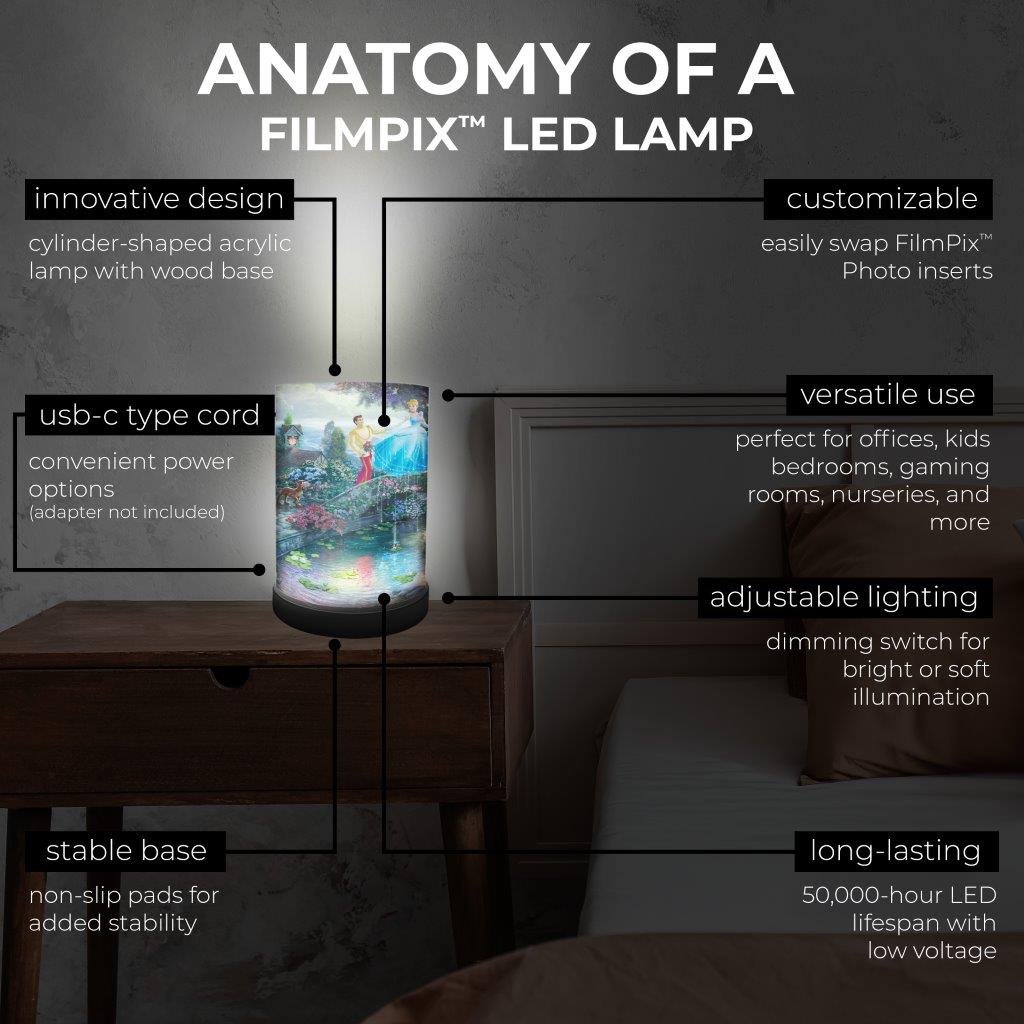 FilmPix™ Light Display + Disney (Cinderella Wishes Upon a Dream) FilmPix™ Photo Insert Bundle