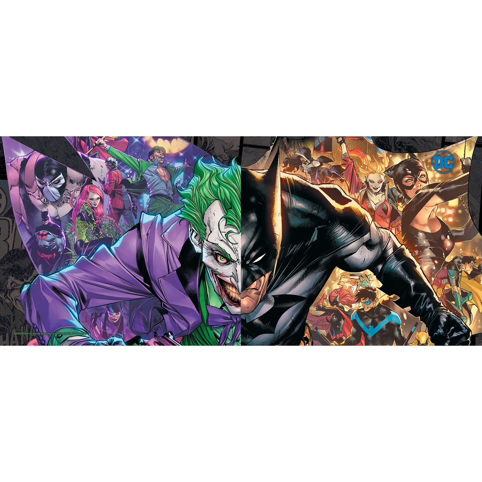 Batman (Versus) FilmPix™ Photo Insert P1808H046