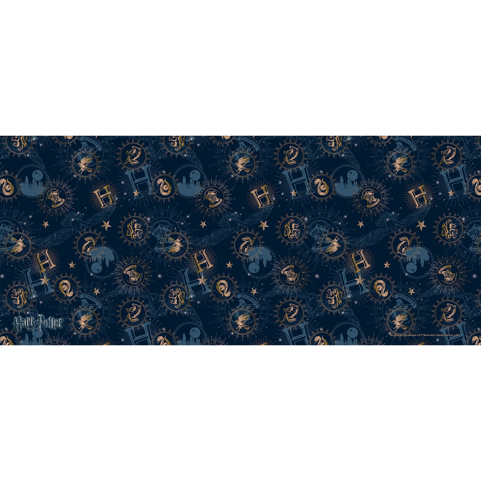 Harry Potter (Constellations) FilmPix™ Photo Insert P1808H053