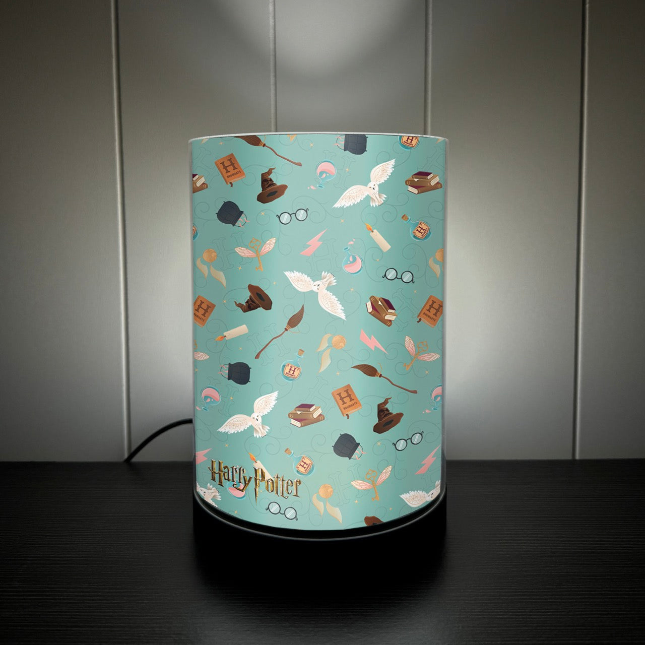 Harry Potter (Stand Together) FilmPix™ Photo Insert P1808H054