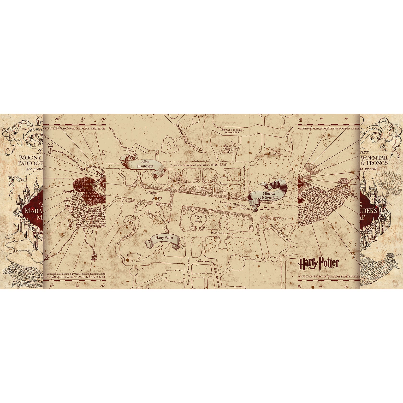 Harry Potter (Marauder's Map) FilmPix™ Photo Insert P1808H056