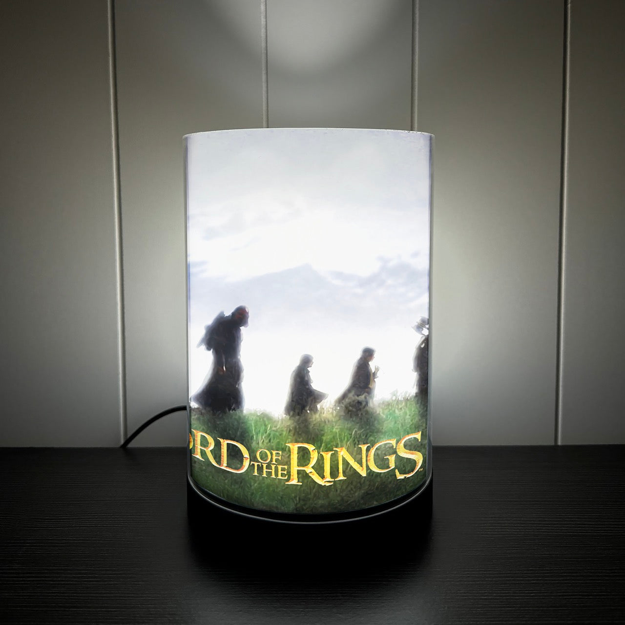 Lord of the Rings (The Fellowship) FilmPix™ Photo Insert P1808H057