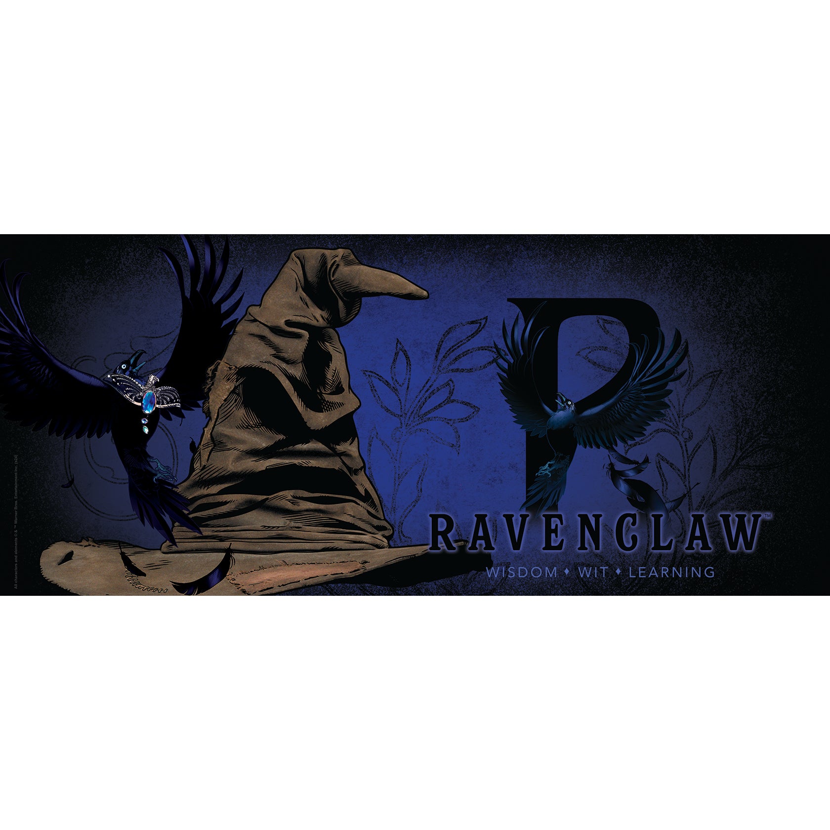 Harry Potter (Ravenclaw House) FilmPix™ Photo Insert P1808H067