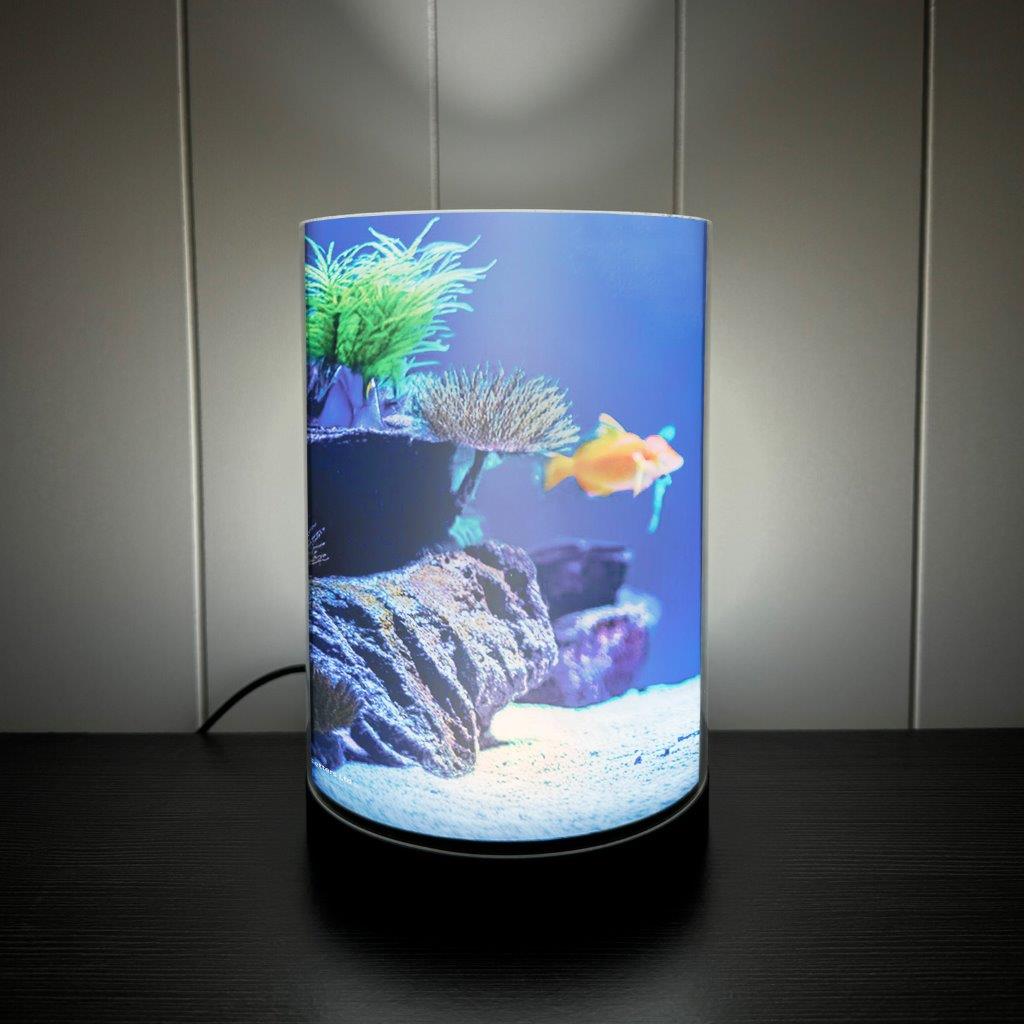 Trend Setters Original (Fish Tank) FilmPix™ Photo Insert P1808H091