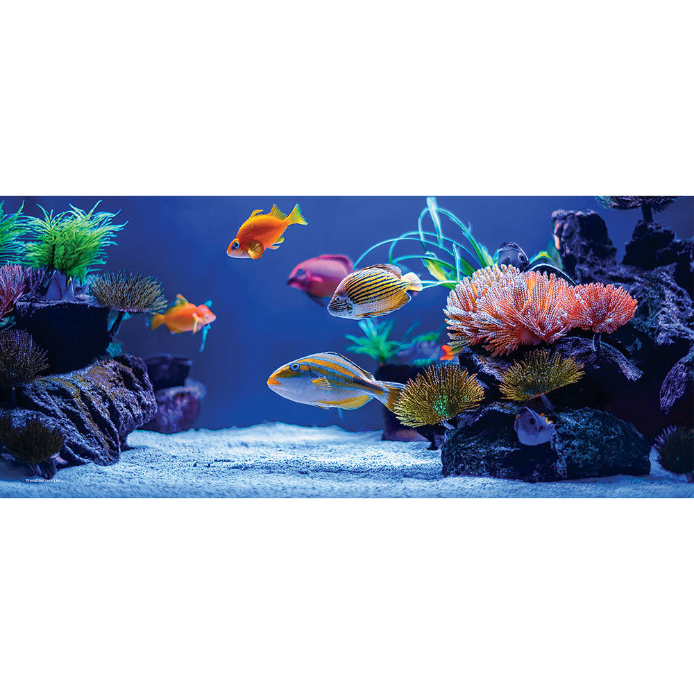 Trend Setters Original (Fish Tank) FilmPix™ Photo Insert P1808H091