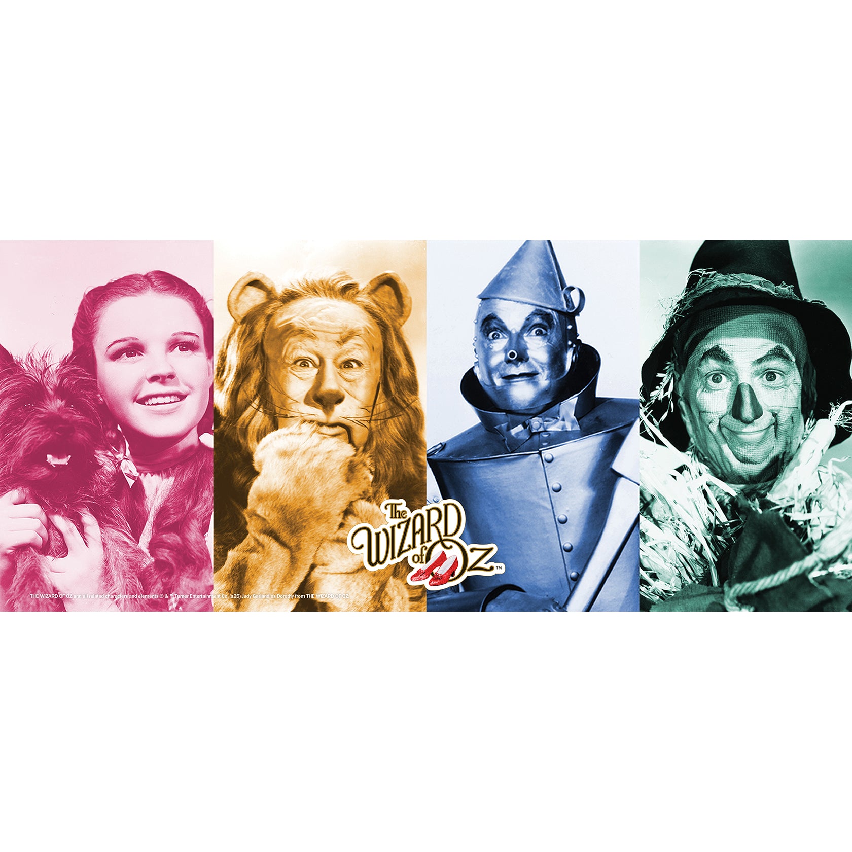 Wizard of Oz (Journey to Oz) FilmPix™ Photo Insert P1808H143