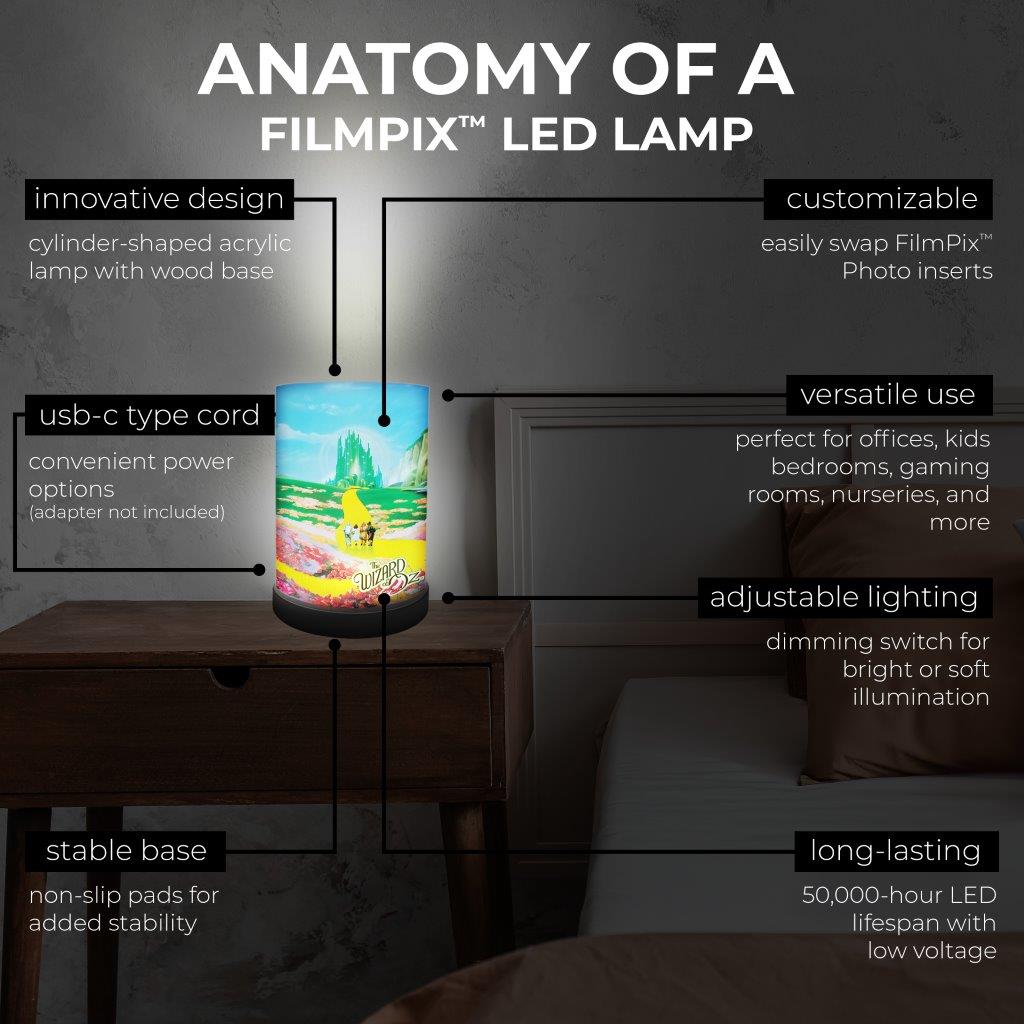 Wizard of Oz (Land of Oz) FilmPix™ Photo Insert P1808H146