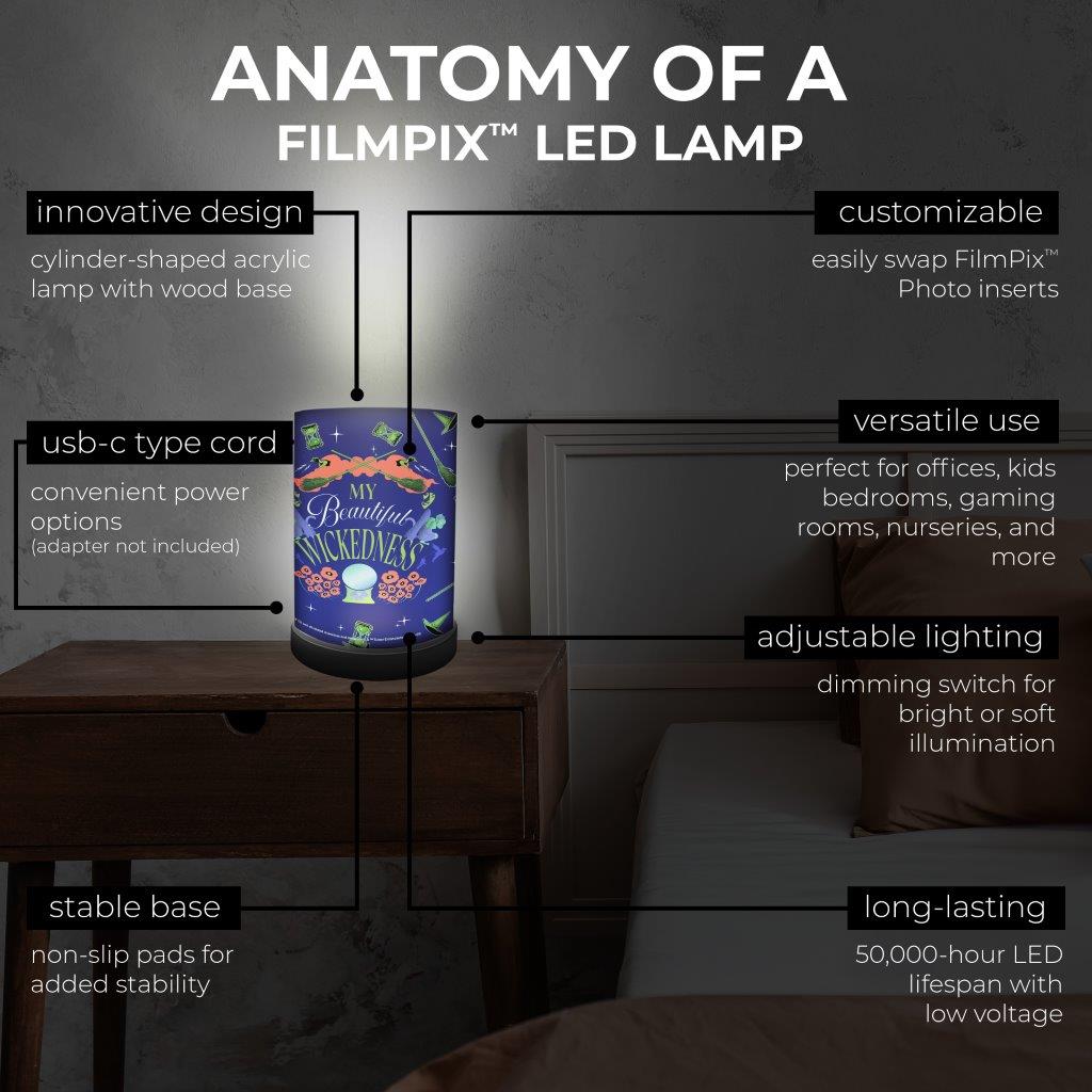 Wizard of Oz (I am a Witch) FilmPix™ Photo Insert P1808H148