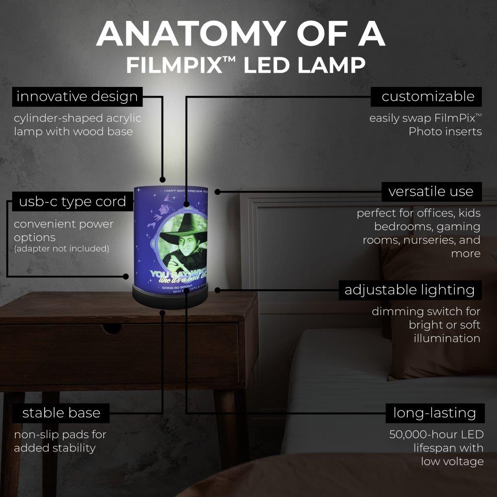 Wizard of Oz (Bad Witch) FilmPix™ Photo Insert P1808H149