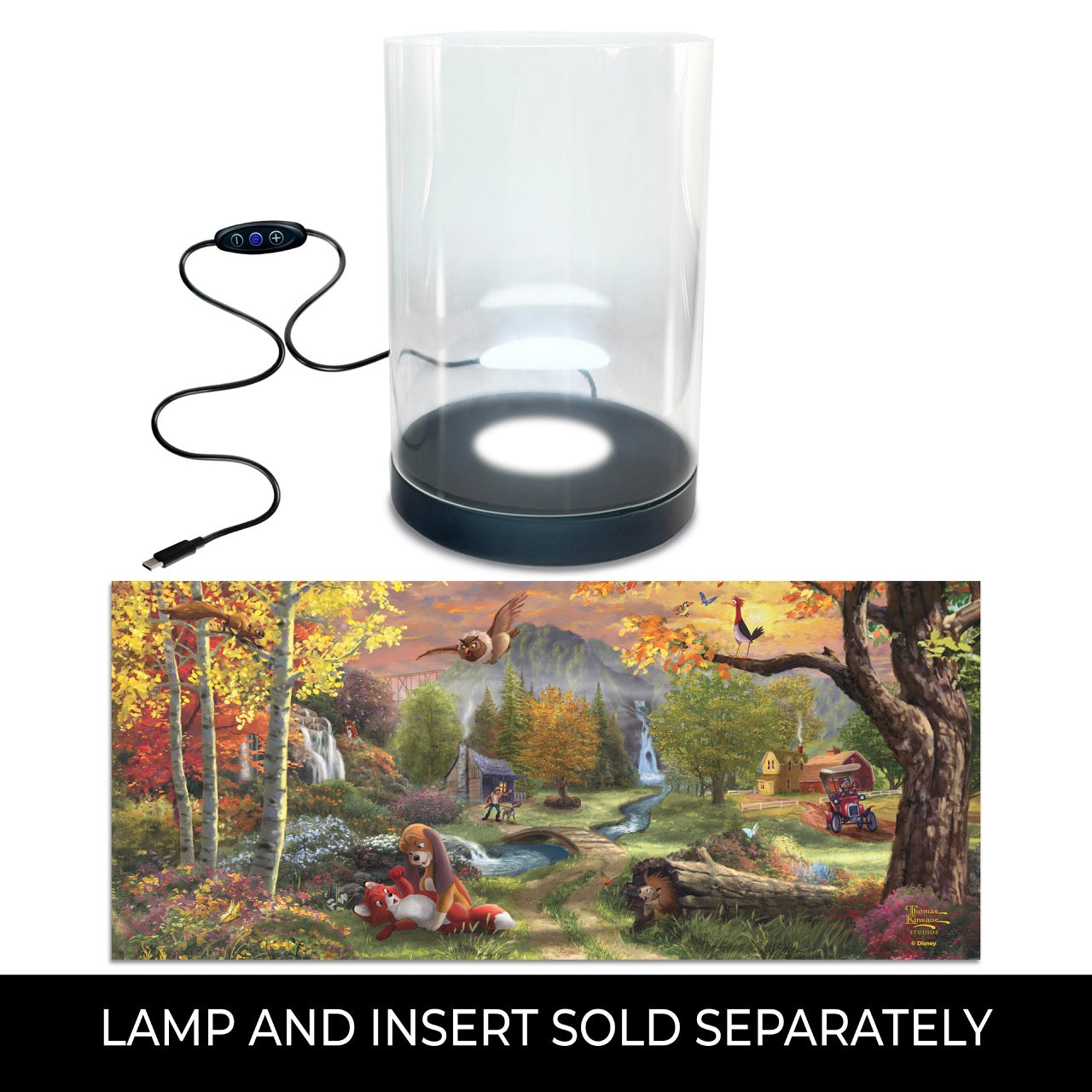 Disney (Fox and the Hound – Forever Friends) FilmPix™ Photo Insert P1808H163