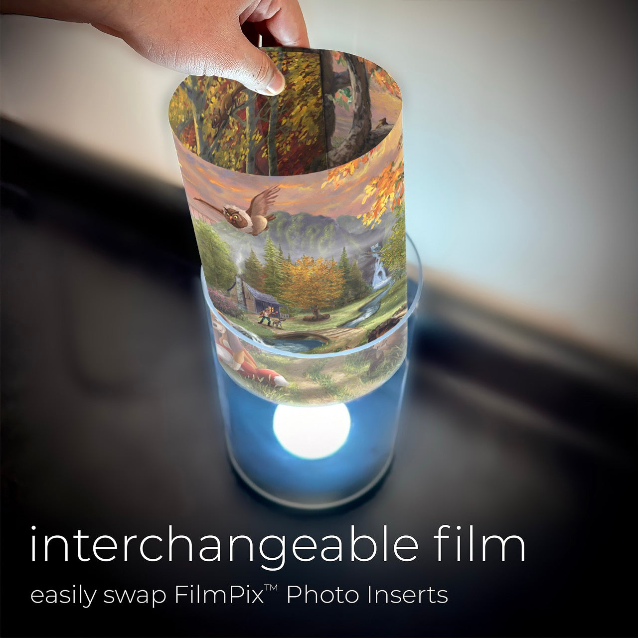 Disney (Fox and the Hound – Forever Friends) FilmPix™ Photo Insert P1808H163