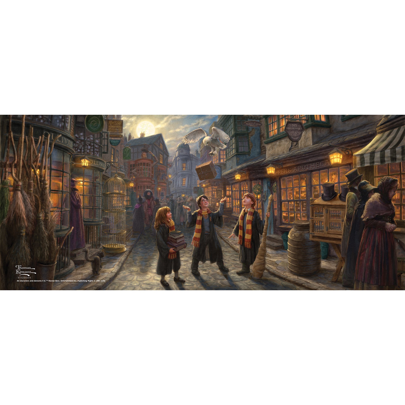 Harry Potter TKS (Diagon Alley) FilmPix™ Photo Insert P1808H180