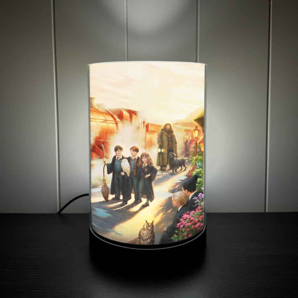 Harry Potter TKS (Hogwarts Express) FilmPix™ Photo Insert P1808H181