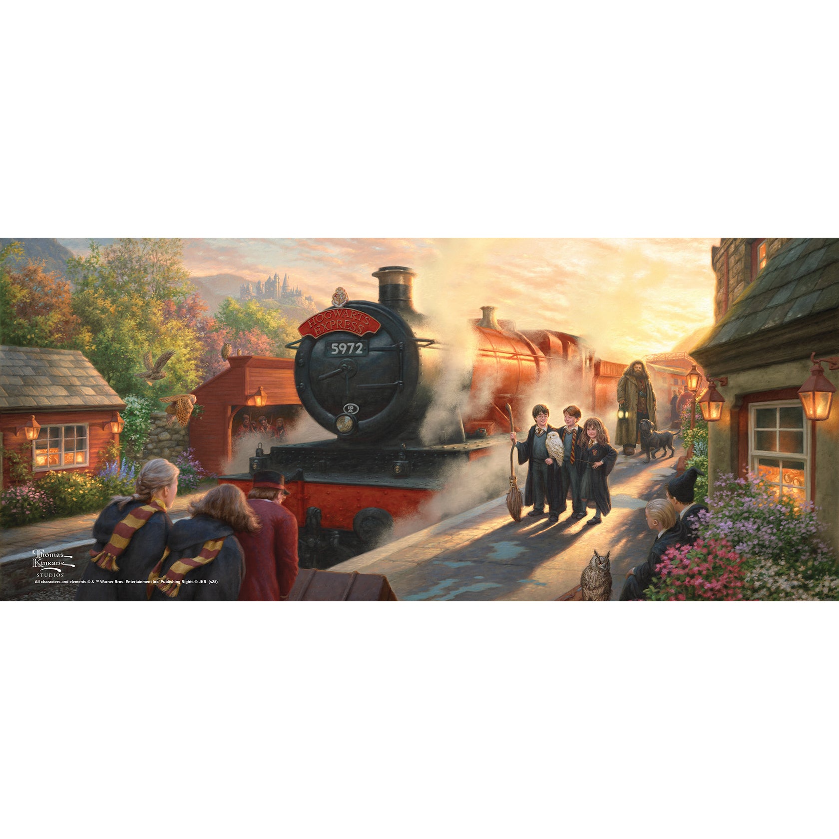 Harry Potter TKS (Hogwarts Express) FilmPix™ Photo Insert P1808H181