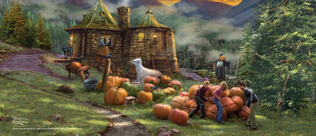 Harry Potter TKS (Hagrid's Hut) FilmPix™ Photo Insert P1808H184