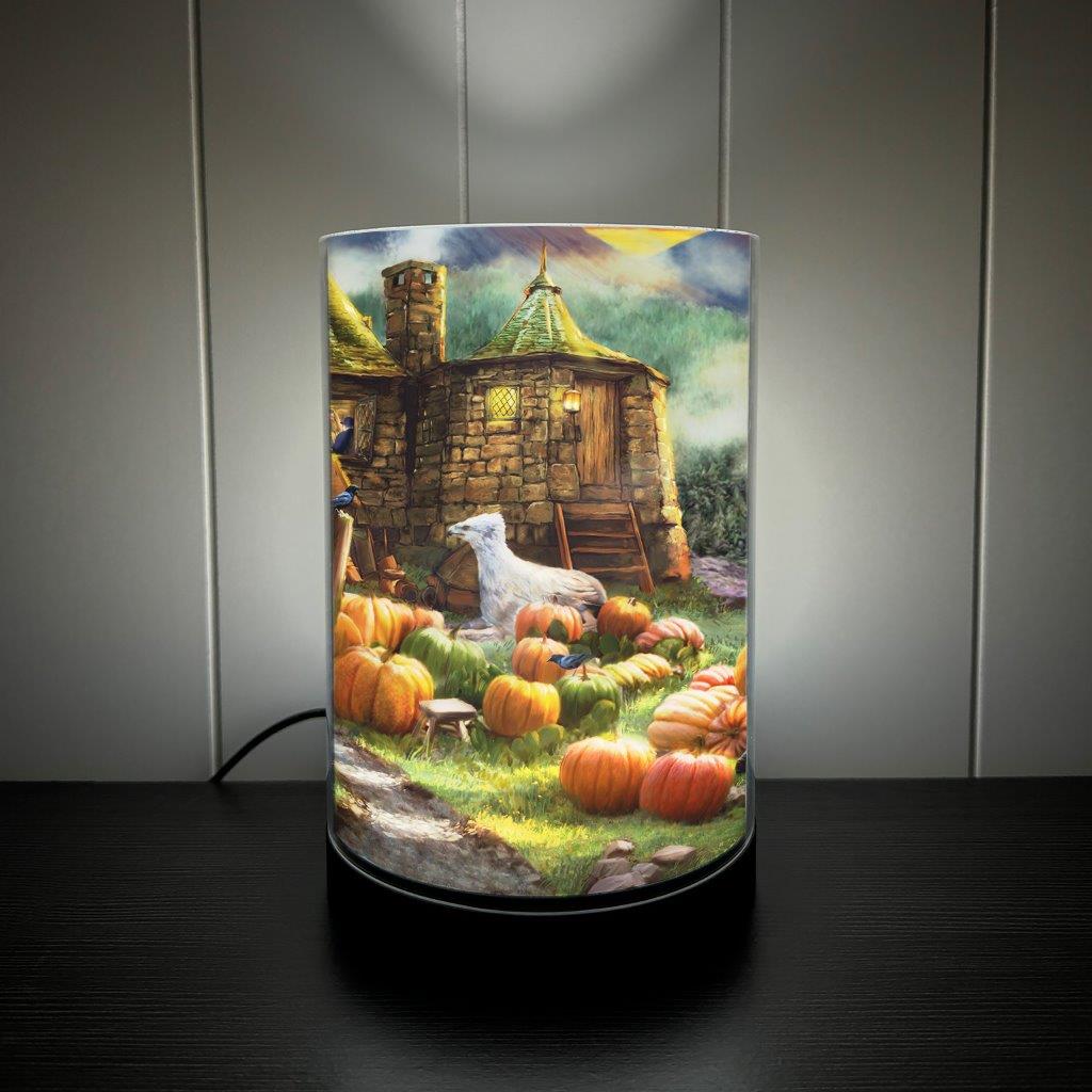 Harry Potter TKS (Hagrid's Hut) FilmPix™ Photo Insert P1808H184