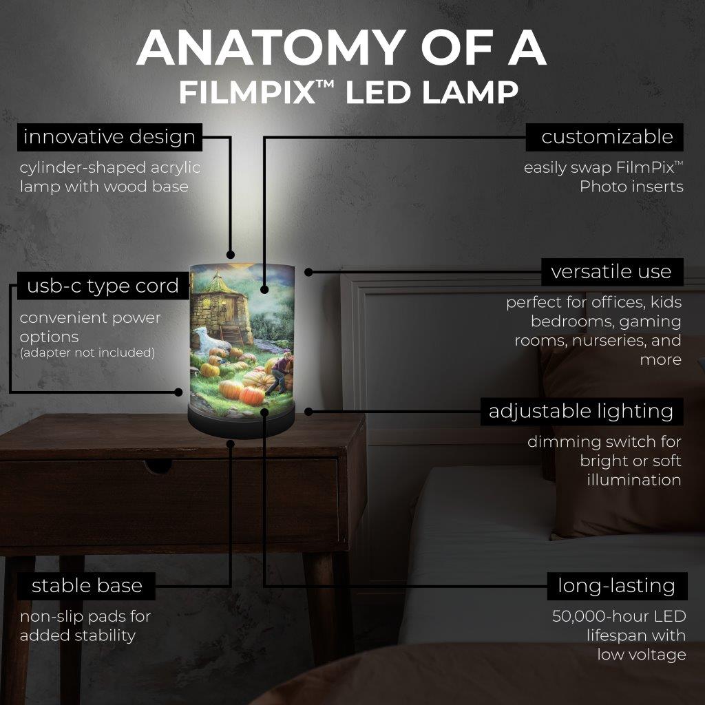 Harry Potter TKS (Hagrid's Hut) FilmPix™ Photo Insert P1808H184