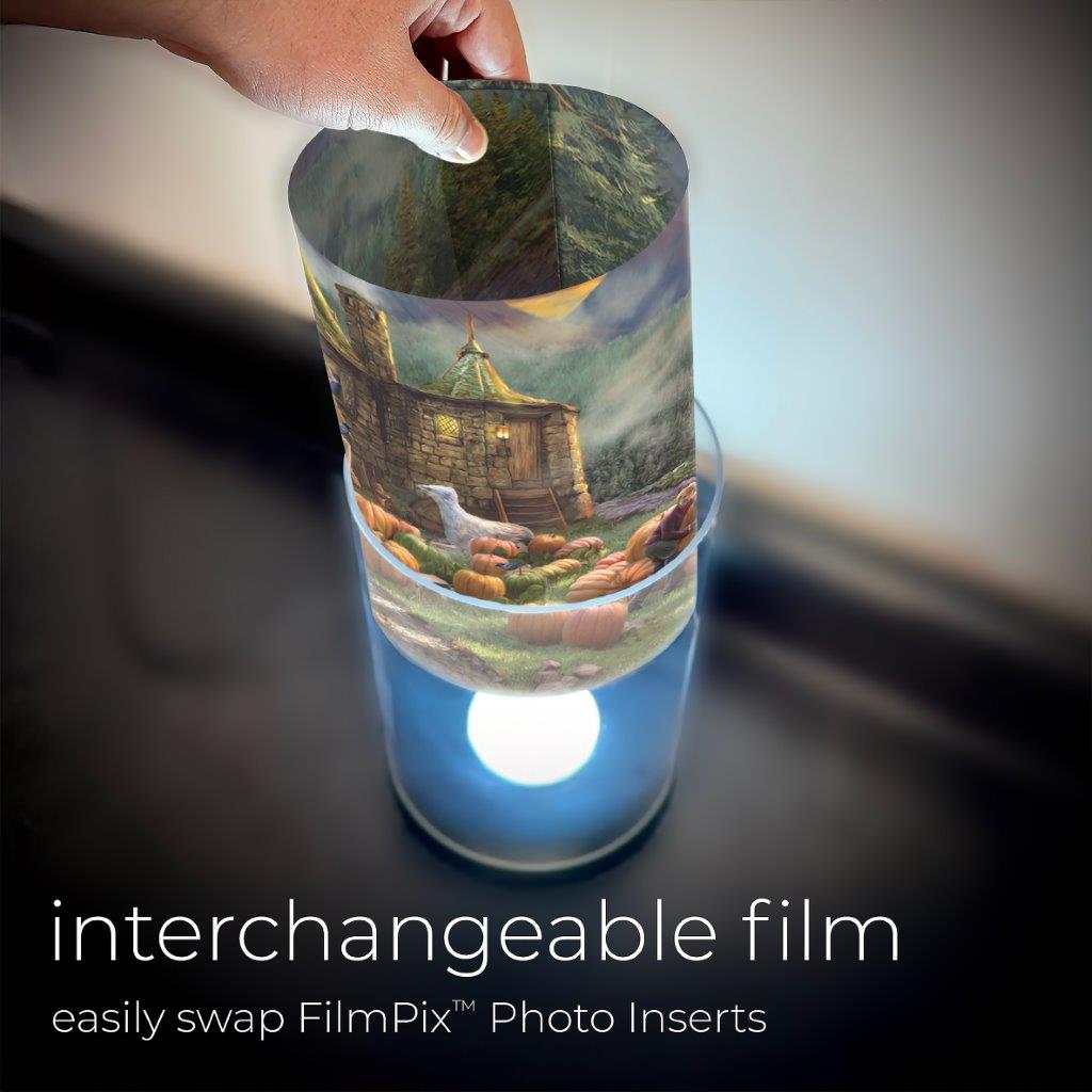 Harry Potter TKS (Hagrid's Hut) FilmPix™ Photo Insert P1808H184