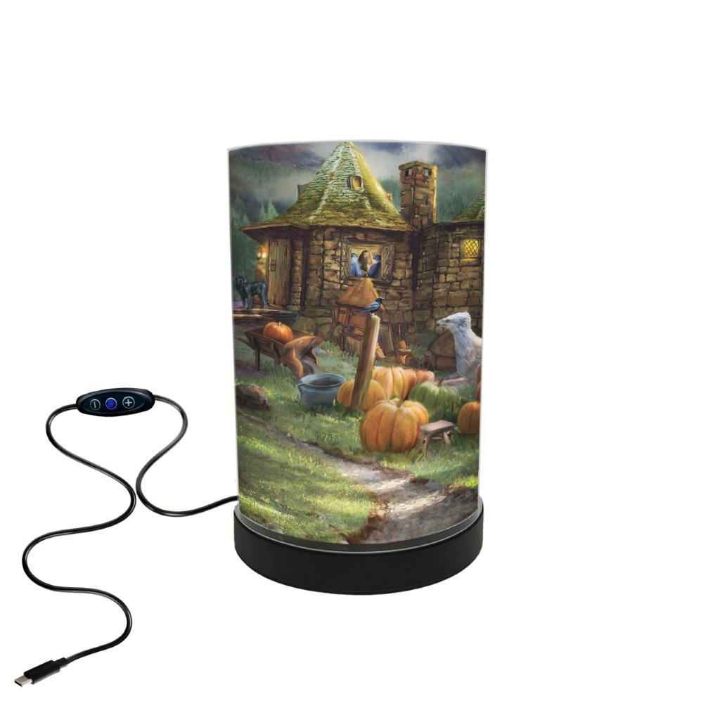 Harry Potter TKS (Hagrid's Hut) FilmPix™ Photo Insert P1808H184