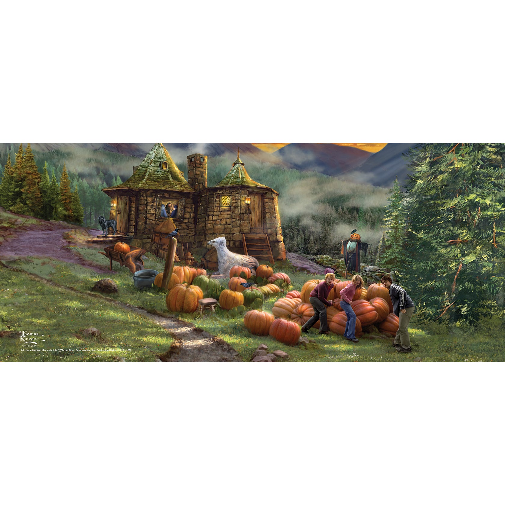 Harry Potter TKS (Hagrid's Hut) FilmPix™ Photo Insert P1808H184