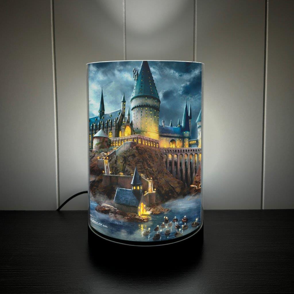 Harry Potter TKS (Hogwarts Castle) FilmPix™ Photo Insert P1808H185