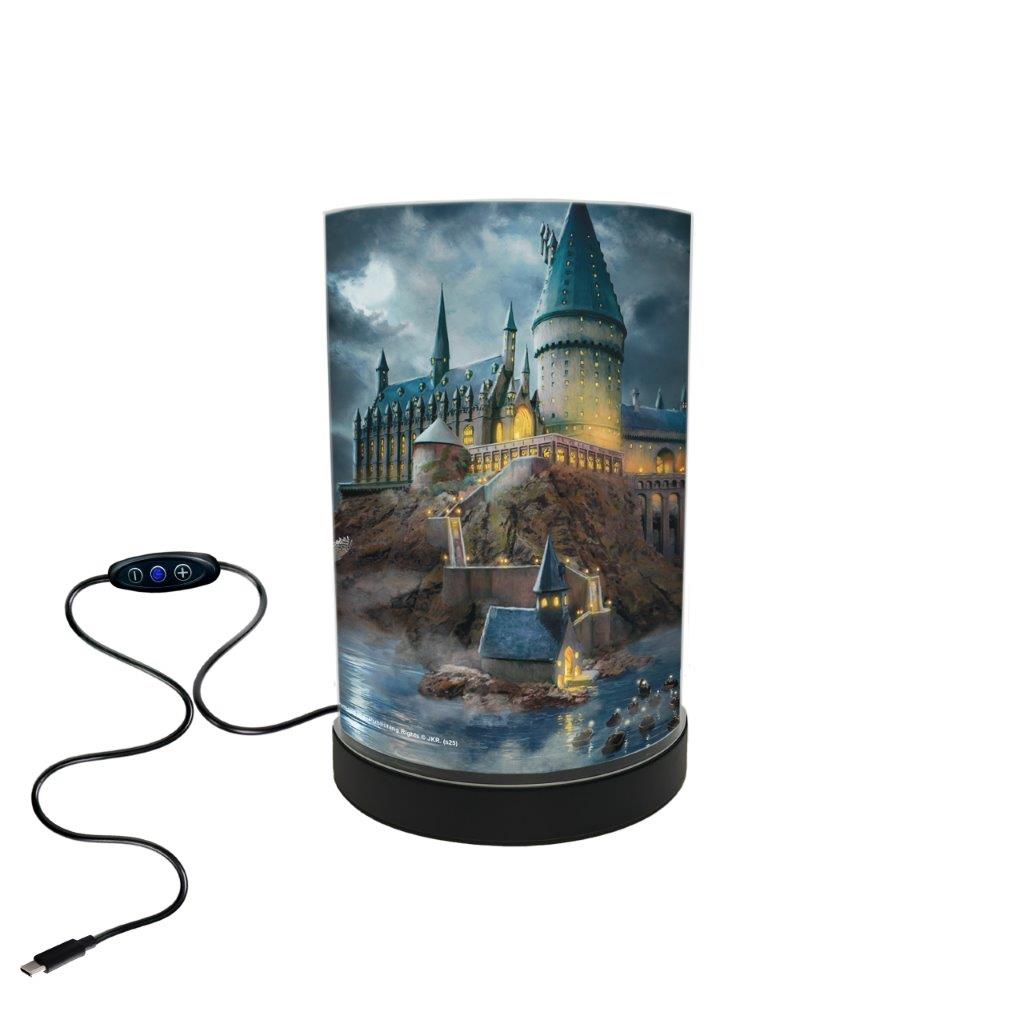 Harry Potter TKS (Hogwarts Castle) FilmPix™ Photo Insert P1808H185