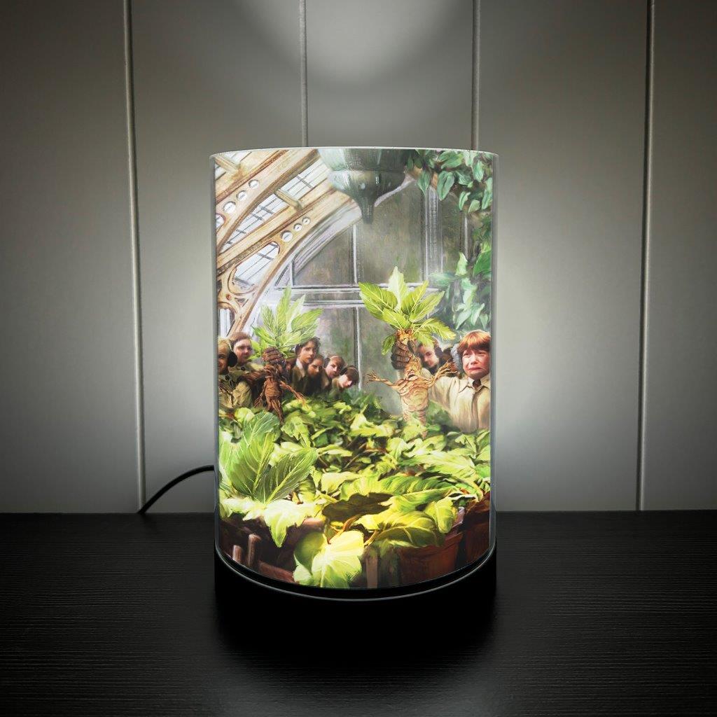 Harry Potter Thomas Kinkade Studios (Hogwarts Greenhouse) FilmPix™ Photo Insert P1808H186