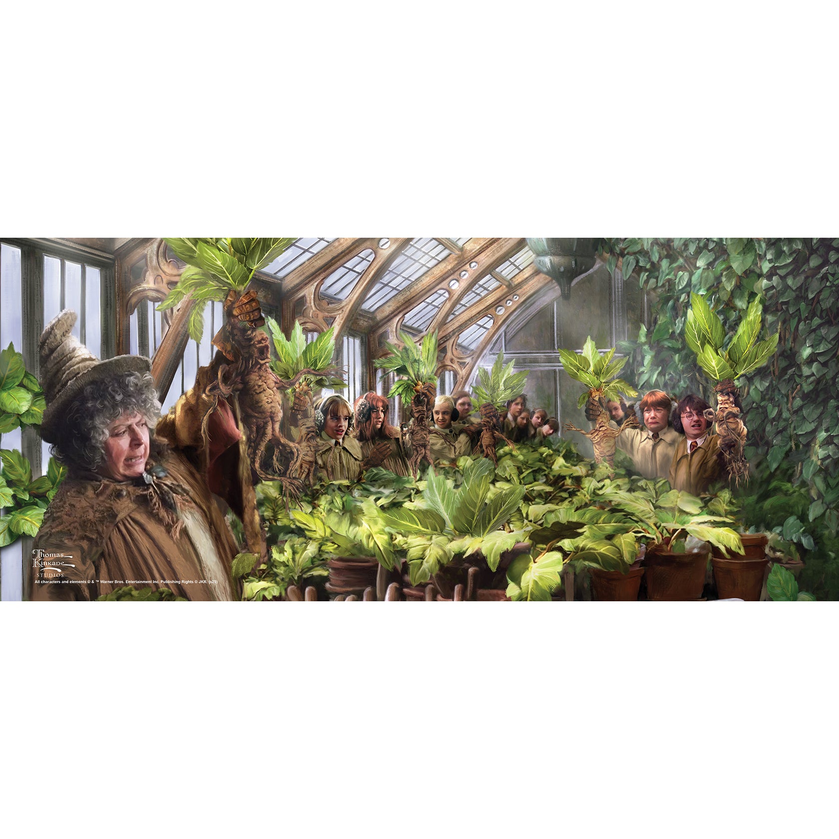 Harry Potter Thomas Kinkade Studios (Hogwarts Greenhouse) FilmPix™ Photo Insert P1808H186